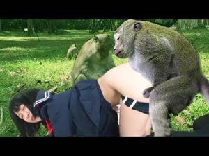 Girl Fucked By Monkey - Amazing Monkey meeting Beautiful Girl Near Angkor Wat - Funny Monkey Video  Not Try To Laugh if you are want to watch more about monkey life or  Cambodia ...