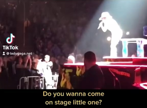 Lady Gaga Cum Porn - Lady Gaga brings special needs fan on stage and sings to him. :  r/HumansBeingBros