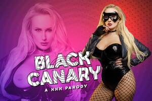 Black Canary Tit Fuck - Black Canary A XXX Parody - VR Cosplay Porn Video | VRCosplayX