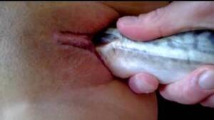 Fish Fucking Woman - Fish pussy Animal Porn