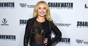 Hayden Panettiere Real Porn - Brian Hickerson Arrested in Alleged Attacks on Hayden Panettiere | Law &  Crime