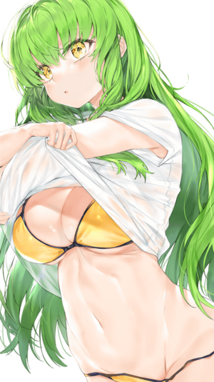 Anime Code Geass Porn - C.C. in Bikini [Code Geass] free hentai porno, xxx comics, rule34 nude art  at HentaiLib.net