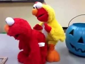 Elmo Sex Porn - elmo sex tape