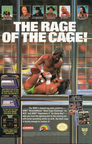 90s Nintendo Porn - WWF WrestleMania Steel Cage Challange NES, WWF Superstars 2 Game Boy