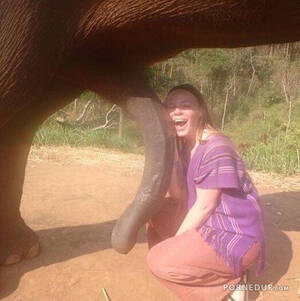 elephant huge cock - Elephant Huge Cock | Sex Pictures Pass