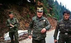 Bosnian War Sex - 14 years a fugitive: the hunt for Ratko MladiÄ‡, the Butcher of Bosnia