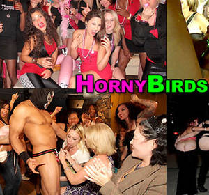 bird orgy - Horny Birds