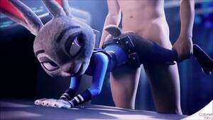 Human Judy Hopps Sexy - Hot Judy Hopps Gets Fucked - XAnimu.com