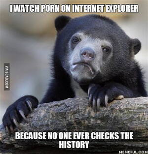 Internet Explorer Porn - I watch porn on internet explorer. because no one ever checks the history -  9GAG