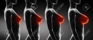 breast sizes nude - Woman breast size comparison B,C,D,E Stock Photo - 16586718