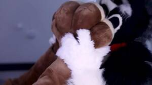 Gay Furry Paw Porn - Fursuiter licking and worshipping paws - ThisVid.com