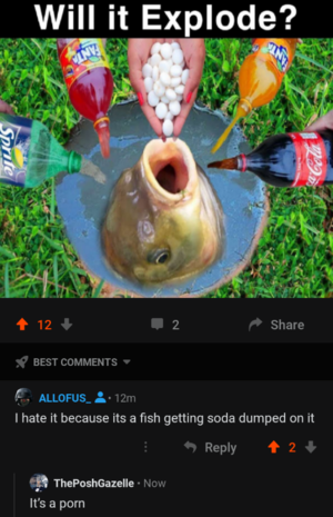 Fish Porn - Cursed fish porn : r/cursedcomments