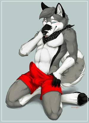 Furry Werewolf Porn - Furry Wolf, Furry Art, Wolves, Eyes, Sexy, Akita, Werewolf, Porn, Underwear