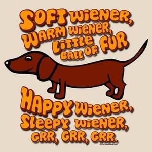 Hot Wiener Porn - Soft Wiener Warm Wiener Little Ball Of Fur