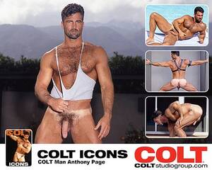 Anthony Page Porn Star - Anthony Page Hot Hairy Classic COLT Icon! - Destination Male Porn Blog