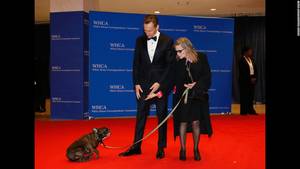 Carrie Fisher Profiles 8 Porn - Tom Hiddleston looks on as Fisher and her dog, Gary, arrive for the 102nd