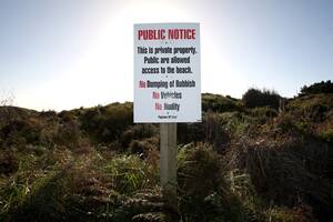 beautiful nude beach goers - Dawn Picken: Bodies are beautiful - why do some of us have trouble with  public nudity? - NZ Herald