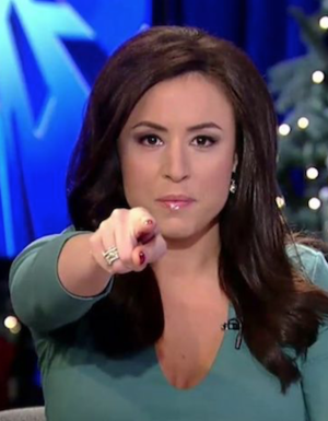 Andrea Tantaros Porn - Paul Wilson: Bill O'Reilly â€“ Caution, You're About to Enter the NO SPEND  Zone | KC Confidential