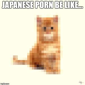 Japanese Cat Porn - Japanese porn be like.