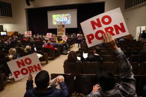 Library Meeting Porn - Culture wars hit Chicago suburb after protesters call 'Gender Queer' book  in Downers Grove H.S. library 'porn' - Chicago Sun-Times