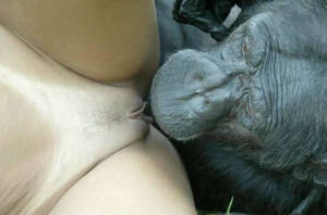 Man Fuck Ape Pussy - Man Fuck Ape Pussy | Sex Pictures Pass