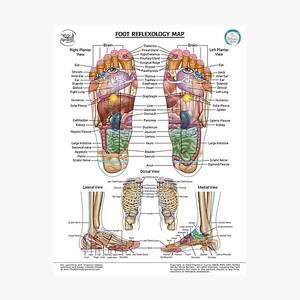 Asian Lesbian Foot Fetish - Foot Photographic Prints for Sale | Redbubble