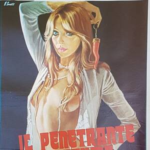 Italian Porn Classic Movie Posters - Italian Vintage Original Movie Poster Sexy il Penetrante Profumo  Dell'adulterio 1970s - Etsy