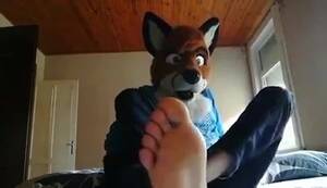 Fox Furry Porn Feet - Fox's Bare feet - ThisVid.com