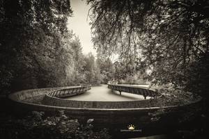 Decay Porn - Germany's Cold War-era Spreepark. Marcus Goral, CC BY. The term â€œruin pornâ€  ...