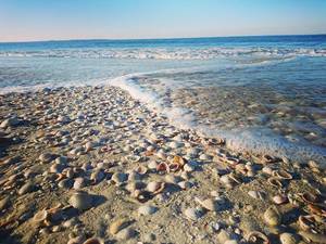 Colorado River Porn - Mexico Beach, FL. Mexico Beach FlPornBeaches