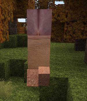 Minecraft Sexy Craft Texture Pack - Share this post