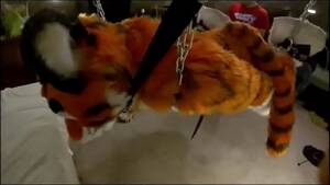 Furry Cosplay Porn Bondage - Furry Cosplay Porn Bondage | BDSM Fetish