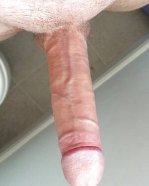 hard white cocks - My big white cock hard after a shave Porn Pictures, XXX Photos, Sex Images  #1744070 - PICTOA