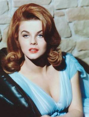 Elvis Ann Margret Fucking - ANN MARGRET - 60S SEX KITTEN WHO HAD ELVIS SMITTEN.