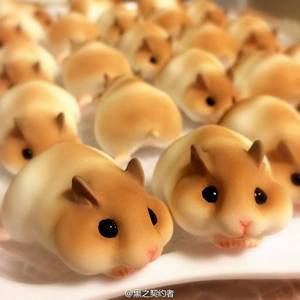 Jpn Non - hamster breadâ€¦ the latest bread craze in japan be honest, would you eat  these