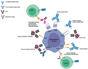 Girlsdoporn E327 - Cancers | Free Full-Text | Changing Trends in B-Cell Non-Hodgkin Lymphoma  Treatment: The Role of Novel Monoclonal Antibodies in Clinical Practice