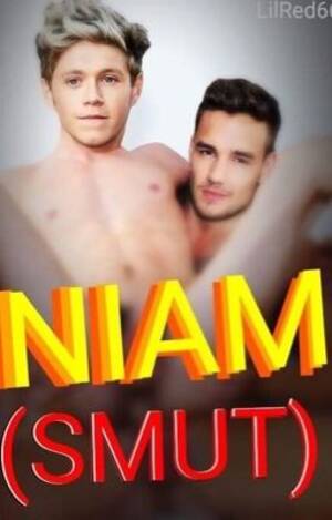 Niam Gay Porn - Niall Centric 2 - ZoeyChwe1998 - Wattpad