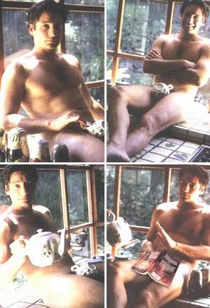 david nude - David Duchovny Nude & Sex Scenes - ( FULL GALLERY! ) â€¢ Leaked Meat