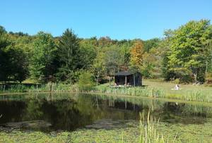 Lake Cabin Porn - Turns out my internet filter wasn't permitting me to search by the word \