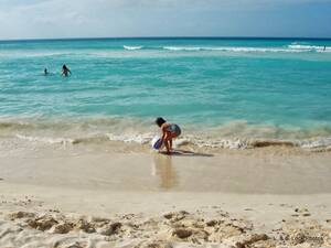 bahamas nude beaches - A writer's life with a pampered pooch: Beach porn