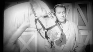 black sexual intercourse - mister ed and wilbur talking about sexual intercourse and porn