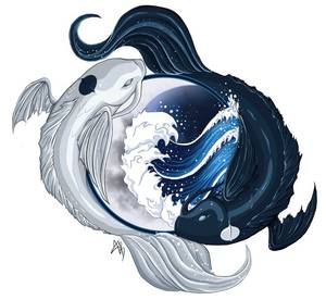 Koi Fish Avatar Katara Porn - tattoos fish tattoos amazing tattoos avatar tattoos koi yin and yang