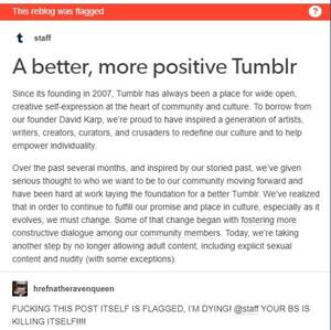 geocities nudist - tumblr's automated porn filter flagged a post from tumblr's official  account : r/softwaregore