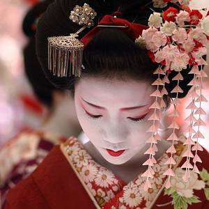 geisha hana - The maiko (geisha apprentice) Umeraku. Together with other maiko and geiko ( geisha) she was hosting an open air tea ceremony at Kitano Tenmangu Shrine  in ...