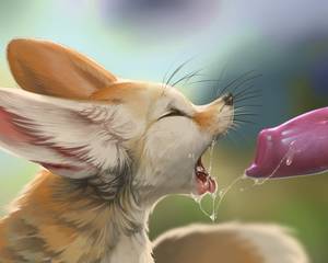 Fennec Fox Furry Porn - This media may contain sensitive material. Learn more