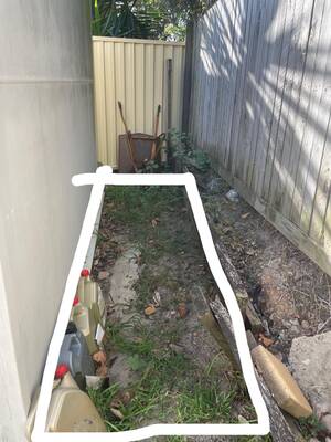 ebony cum dumps adina jewel - What to do with space roughly 1mx5m shaded always behind a shed. :  r/AusRenovation