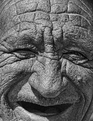 Azeri Man Porn - Azerbaijan - Smiling Old Man. The European Azerbaijan Society's 'Azerbaijan  Through the Lens' photography competition