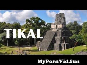 Ancient Mayan Porn - Tikal - Ancient Mayan City of Guatemala - 4K | DEVINSUPERTRAMP  fromtikalWatch Video - MyPornVid.fun