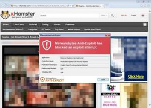 Hamsters Porn Sight - xHamster, Second Largest Porn Site in the World Hit by Massive Malvertising  Campaign : r/Malware