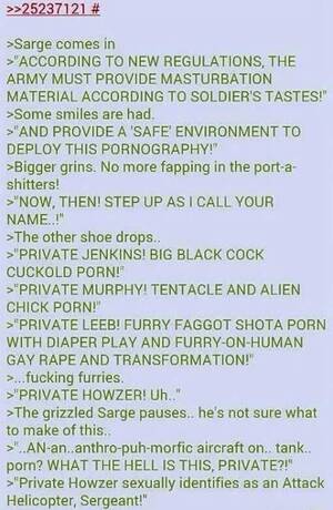 4chan Transformation Porn - I sexually identify as a Space Fox | I Sexually Identify as an Attack  Helicopter | Know Your Meme